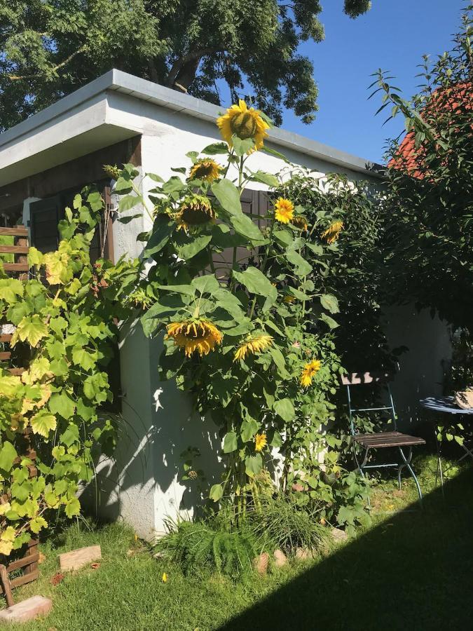 Haus Vicus Apartman Greifswald Kültér fotó