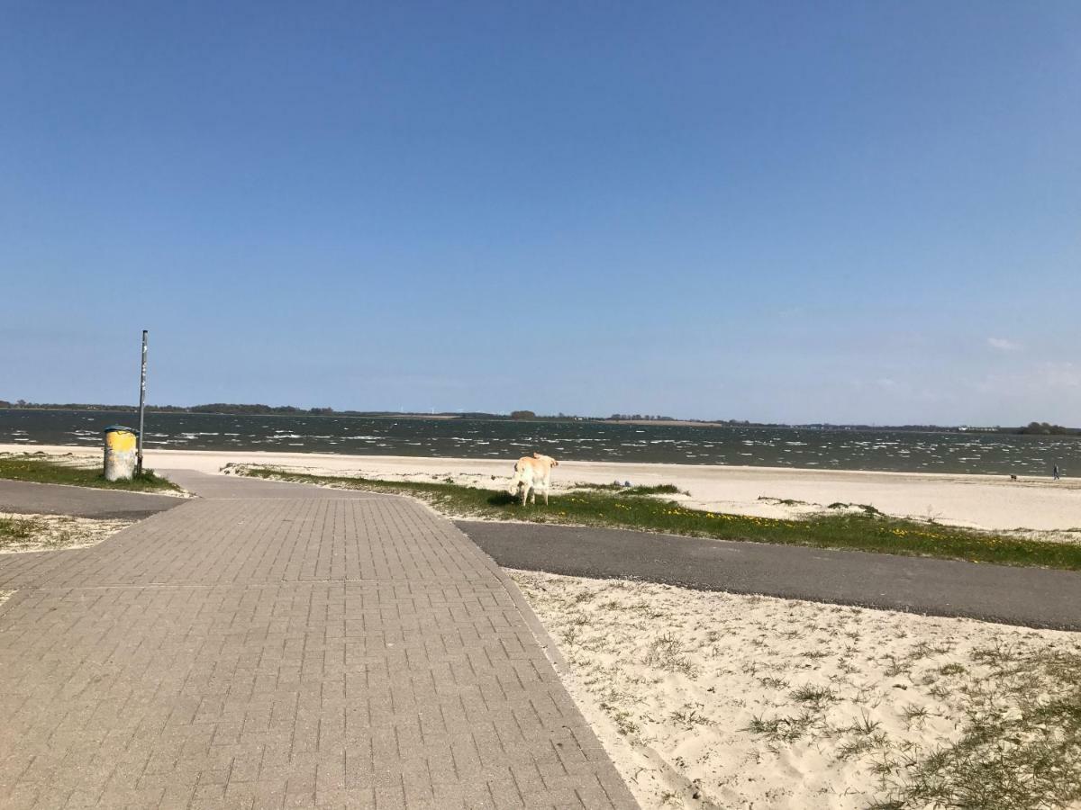 Haus Vicus Apartman Greifswald Kültér fotó